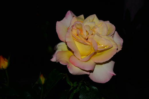 968167 (a): :2048x1365